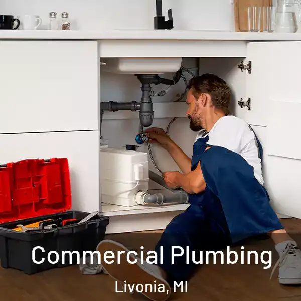  Commercial Plumbing Livonia, MI