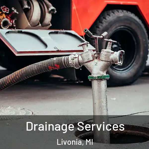  Drainage Services Livonia, MI
