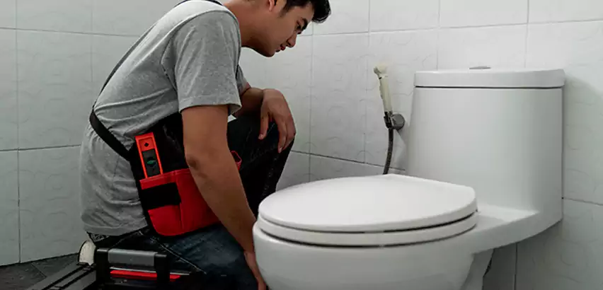 Toilet Repair in Livonia