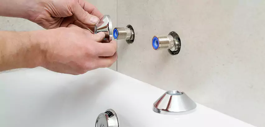 Bathtub Faucet Diverter Replacement in Livonia