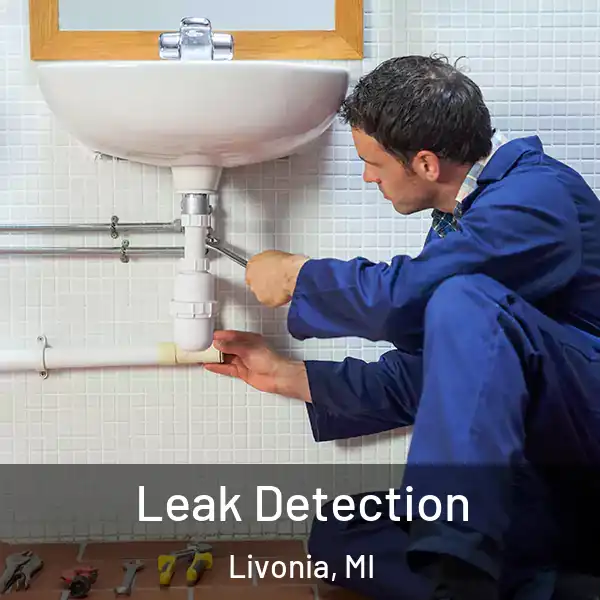  Leak Detection Livonia, MI