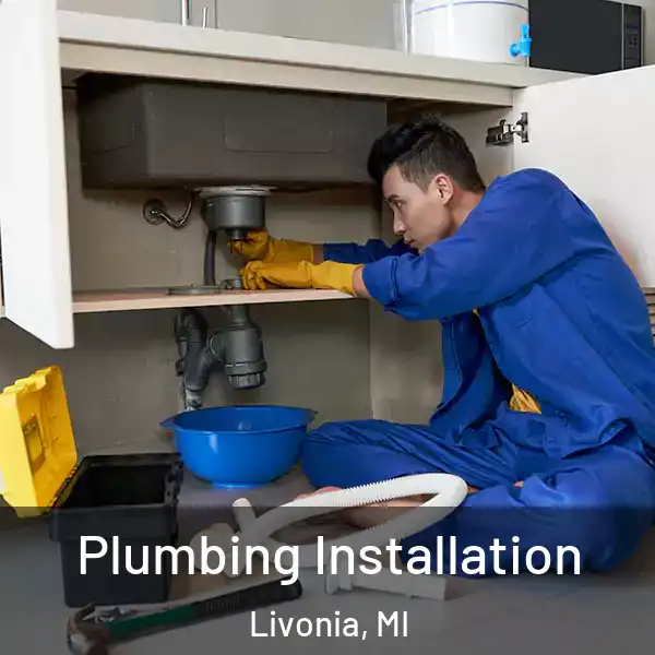  Plumbing Installation Livonia, MI