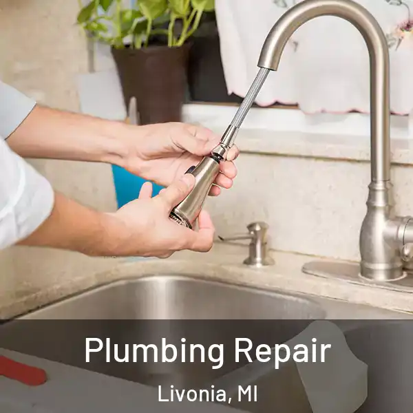  Plumbing Repair Livonia, MI