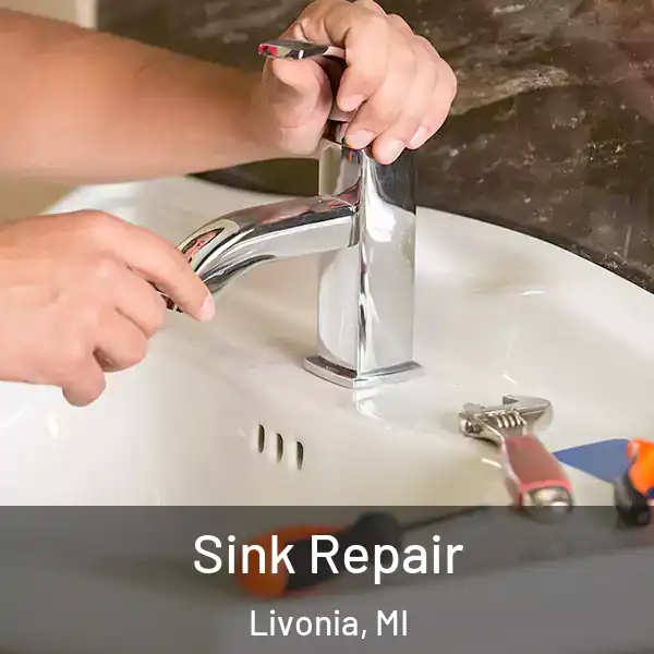  Sink Repair Livonia, MI