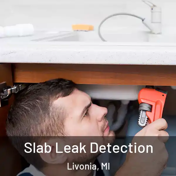  Slab Leak Detection Livonia, MI