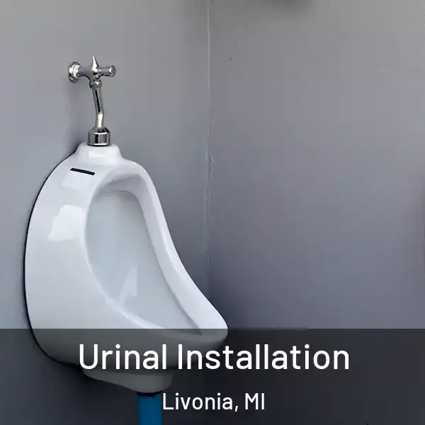  Urinal Installation Livonia, MI